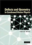 Defects and Geometry in Condensed Matter Physics