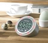 Salter 351 SVXR Silver timer