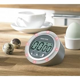 Salter 351 SVXR Silver timer