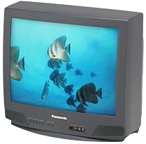 Panasonic CT-20D10 20" TV