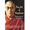 seekers of spirituality and joy
