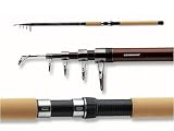 Cormoran Profiline Tele 30 L=4,00m Wg. 10-30g