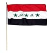 Iraq Flag 12 x 18 inch