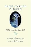 Band-Tailed Pigeons: Wilderness Bird at Risk