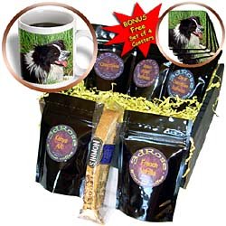 Dogs Border Collie - Border Collie - Coffee Gift Baskets - Coffee Gift Basket by 3dRose LLC