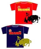 【7月中旬入荷お届け予定商品】 GRANDE EURO2008★スペイン代表★優勝記念Tシャツ(ホーム・Mサイズ)