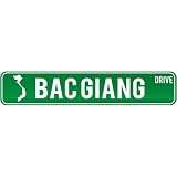 New  Bac Giang Drive - Sign / Signs  Vietnam Street Sign City
