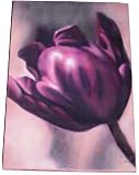 Sia Majestic Tulip Stretched Canvas Art, Purple, 10-Inches x 14.5-Inches