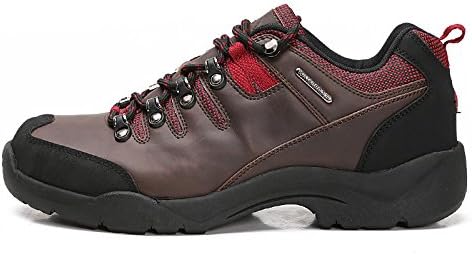 Vessel in Desert Men's Outdoor Hiking Walking Shoes (Dark Brown, EUR 42)