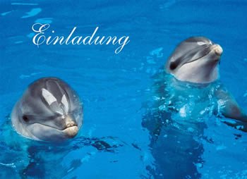 Cover image : .5x Einladung zum Kindergeburtstag 