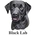 Labrador Retriever (Black) Cordial - Shot Glass