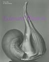 Edward Weston