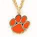 Clemson University Tigers NCAA College Sports Team Chain Necklace and Enameled Pendant Sports Team Logo