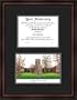 Tennessee Volunteers Vols UT Diploma Frame & Lithograph Print