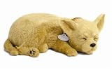 PERFECT PETZZZ TAN CHIHUAHUA