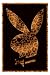Empire 79114 Playboy - Fur, Sexy Erotik Poster ca. 91,5 x 61 cm