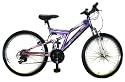 Reflex Breeze DS Girls 24'' bike