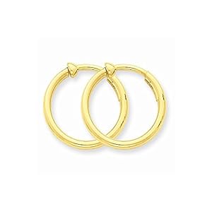 pierced hoop earrings gold 14k non