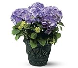 Teleflora