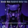 Hundred Dollar Bag