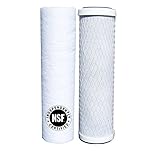Watts Premier 560088 Lead, Cyst, VOC Carbon Block Two Stage Replacement Filter Pack