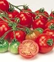 Bloody Butcher Tomato 30 Seeds - Heirloom