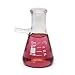 WPI CG-0081 Glass Filter Flask with 8mm Tubulation, 80mm Height, 50mL Capacity, 20mL to 50mL Graduation (Pack of 6)