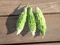 Jawahar Bitter Gourd seed packet