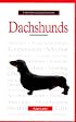 A New Owner's Guide to Dachshunds (JG Dog)