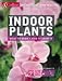 Books : Indoor Plants (Collins Practical Gardener)