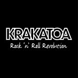 Rock N`roll Revolution