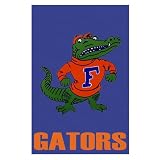 Florida Gators Albert Collegiate Banner Flag