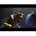 Product Video: Clip: Hopper, pre