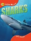 Sharks