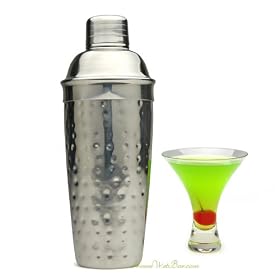 Hammered Stainless Steel Cocktail Shaker by Trudeau