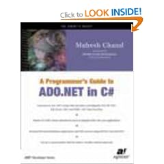 A Programmer's Guide to ADO.NET in C# (.NET developer series)