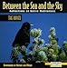 Between the Sea an the Sky: The Raven