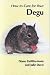 How to Care for Your Degu (Your First...series) by Diane Griffiths-Irwin