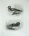 1906 THE PINTAIL THE WIGEON ADULT FEMALE BIRD