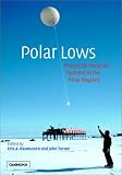 Polar Lows: Mesoscale Weather Systems in the Polar Regions