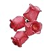 Bethlehem Lighting Red Rose 10-Light Set
