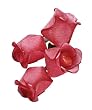 Bethlehem Lighting Red Rose 10-Light Set