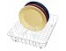 Kitchen & Housewares : Kitchen Craft Coated Dish Drainer 44.5cm x 35cm, Tagged