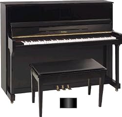 50" Professional Upright Piano (Ebony Polish)