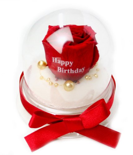 Cover image : メッセージローズ (Preserved Rose) ローズドーム S1～情熱のラブジャック～レッド 【リボン付き】【Happy Birthday】 22214