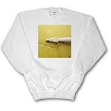 IMAGE OF Ballerina shoe contrasting with a metal yellow background - Youth SweatShirt Med(10-12)