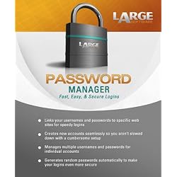 Large Software: Password Manager