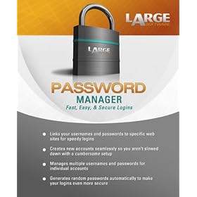 Large Software: Password Manager