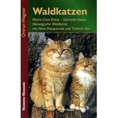 Waldkatzen: Maine-Coon Katze, Sibirische Katze, Norwegische Waldkatze mit Neva Masquarade und T�rkisch Van