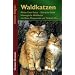 Waldkatzen: Maine-Coon Katze, Sibirische Katze, Norwegische Waldkatze mit Neva Masquarade und T�rkisch Van